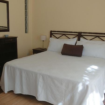 534 Petit San Telmo - Studio & Suites Buenos Aires Buitenkant foto