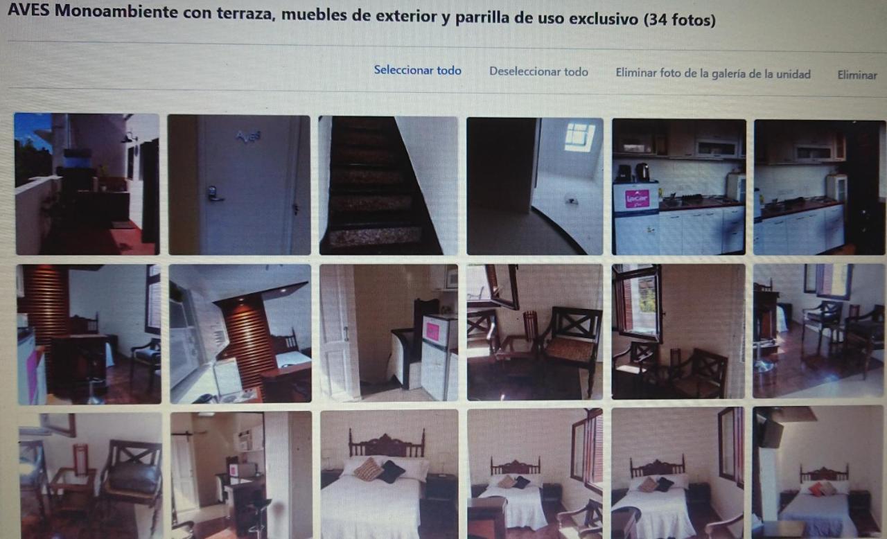 534 Petit San Telmo - Studio & Suites Buenos Aires Buitenkant foto